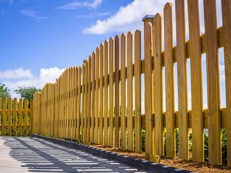 Fence Cleaning