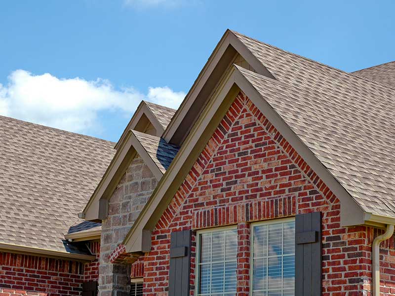 Roof Cleaning